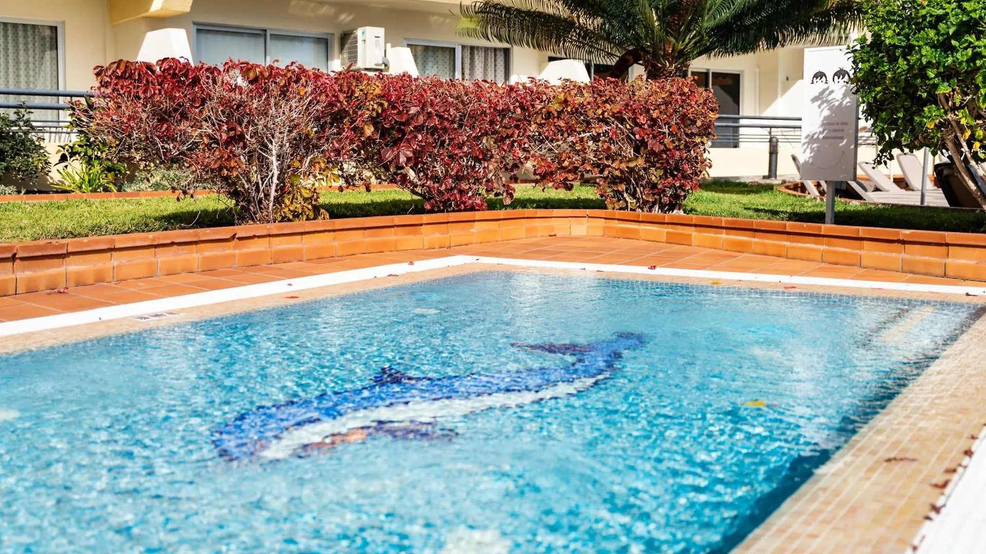 Cosy Studio In The Heart Of Adeje Costa Adeje  Apartamento